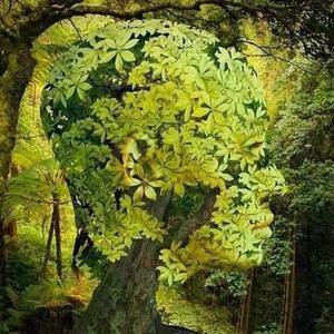 Meet your Posher, Yem